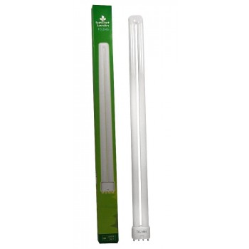 Secret Jardin Fluorescente...