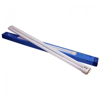 Secret Jardin Fluorescente...