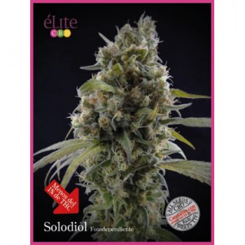 Elite Seeds Solodiol CBD...
