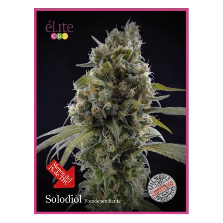 Elite Seeds Solodiol CBD Feminizada