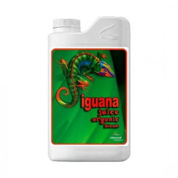 Advanced Organic Iguana...