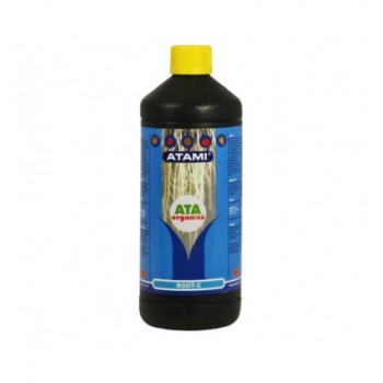 Atami Root C (Radicular)