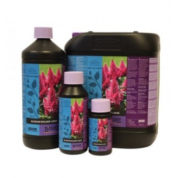 Atami Bcuzz Blossom Builder...