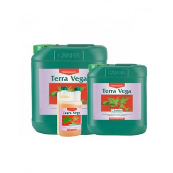 Canna Terra Vega (Crecimiento)