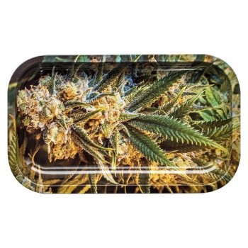 Bandeja Metal Buds 14 x...