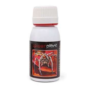 Spider Plant Acaricida 15 ml.