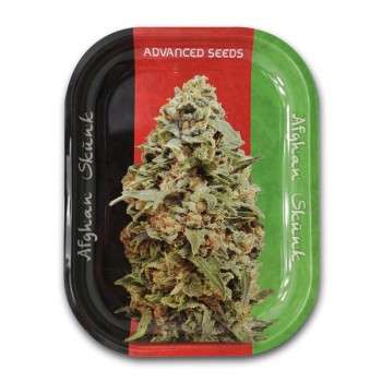 Bandeja Metal Afghan Skunk...