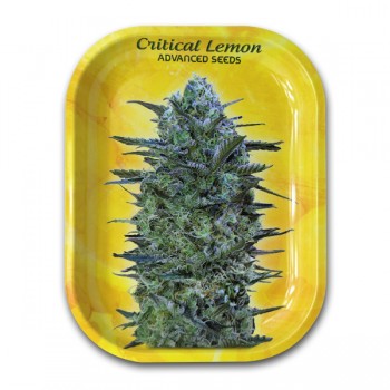 Bandeja Metal Critical...