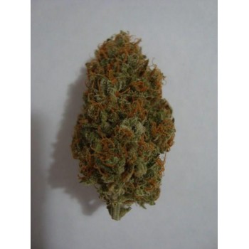 Deep Purple Auto Deimos...