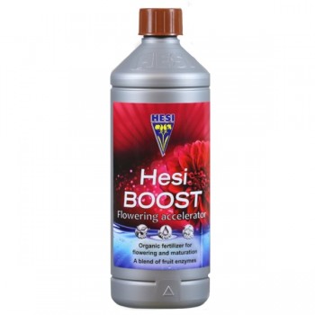 Hesi Boost