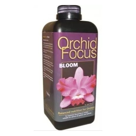 Ionic Orchid Focus Bloom 1 Ltr.