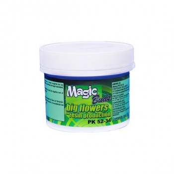 Magic Buds PK 52-34