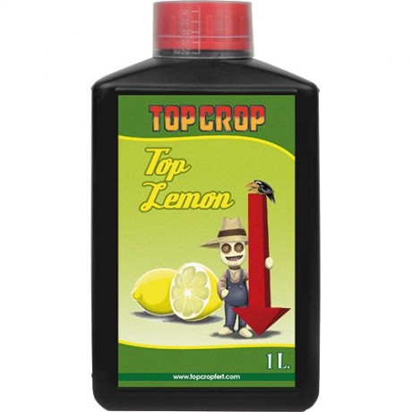 Top Crop top Lemon