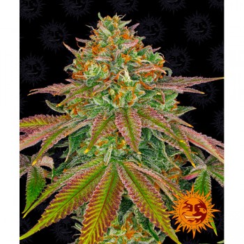 Barney's Farm Wedding Cake...