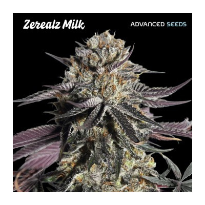 Zerealz Milk Feminizada