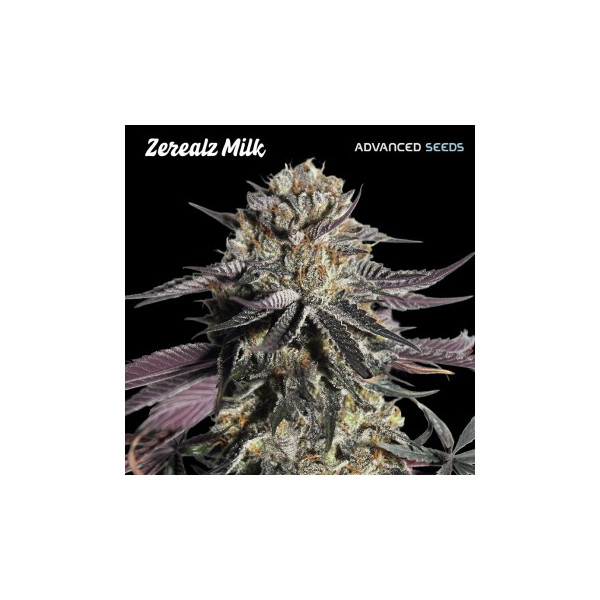 Zerealz Milk Feminizada