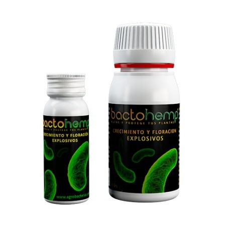 BactoHemp
