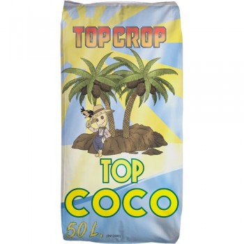 Top Crop Top Coco 50 Lit.